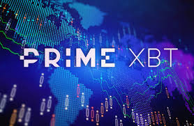 Exploring the PrimeXBT Trading Hub A Complete Guide to Online Trading Success